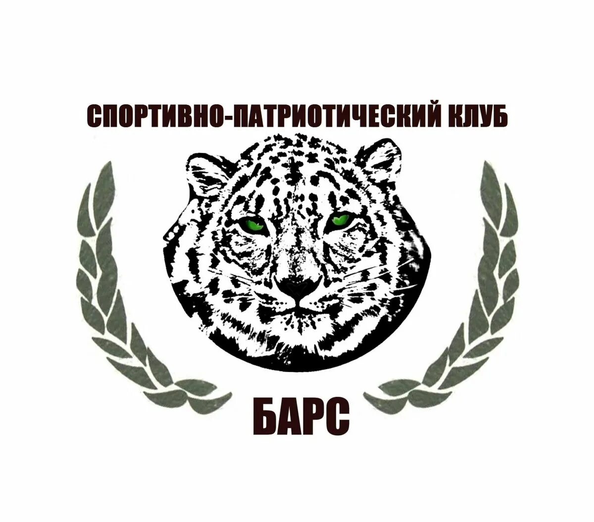 Шеврон отряда барс. Добровольческий отряд барс. Барс расшифровка аббревиатуры. Барс 13 отряд. Снежный барс лого.