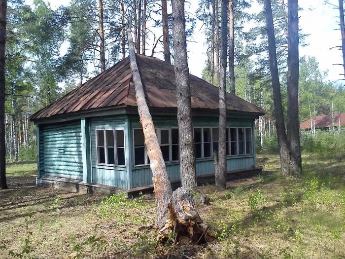 Заброшенный пионерский лагерь березка челябинск. Лагерь берёзка заброшенный в москве. Пионерский лагерь березки цкб алмаз. Пионерский лагерь березка домодедовский район. Пионерский лагерь березка домодедовский район.