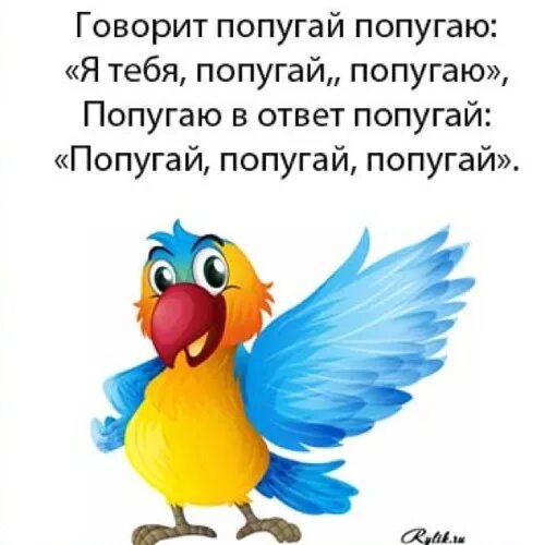 Расскажи про попугаев. Расскажи про попугаев. Расскажи про попугаев. Информация о попугаях. Доклад про попугая.