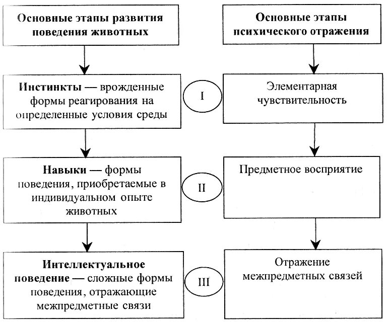 Законы диалектики схема. Основные стадии развития психики. Стадии развития психики животных психология. Три закона диалектики таблица. Этап психологии поведение