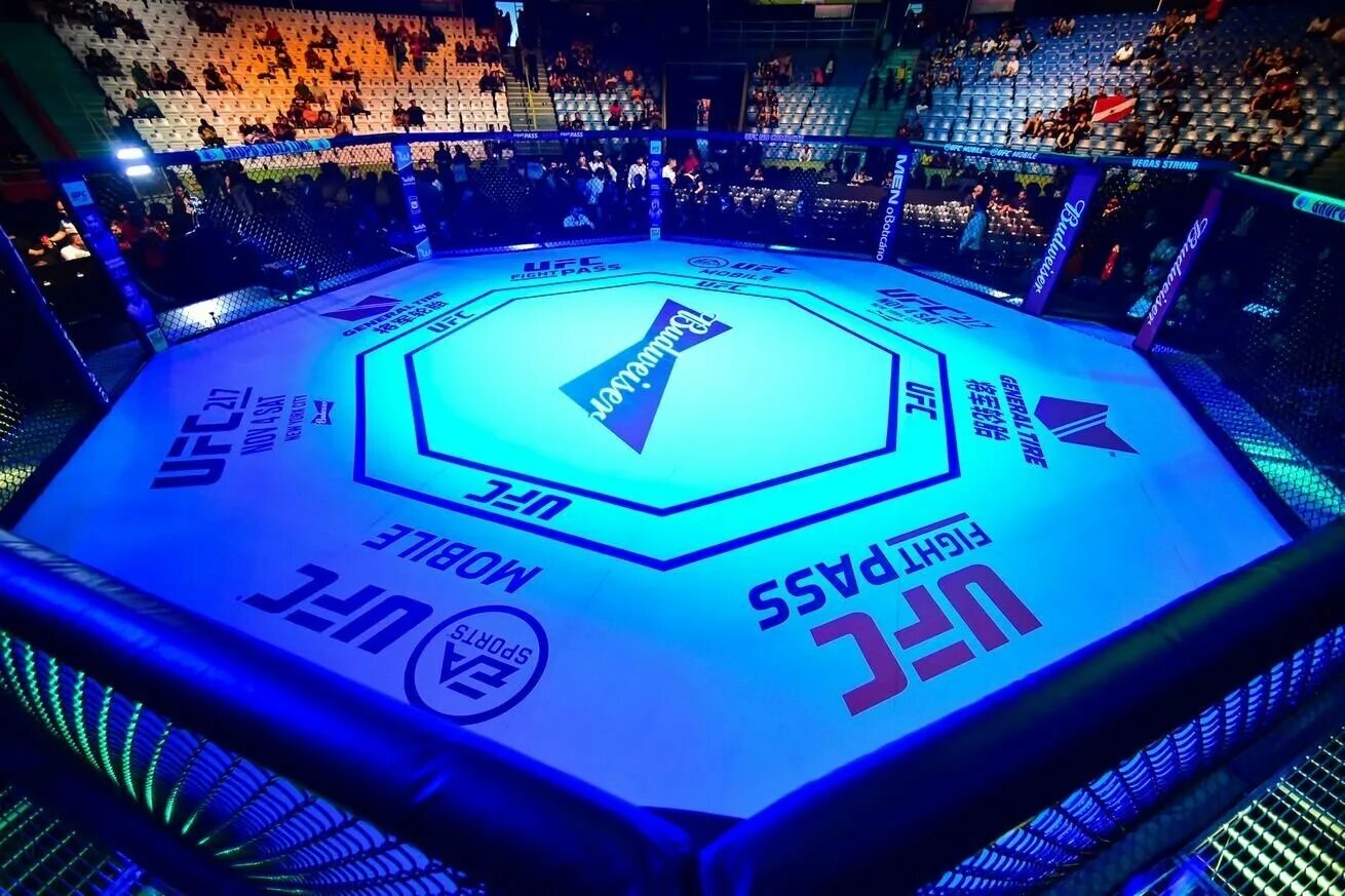 Octagon
