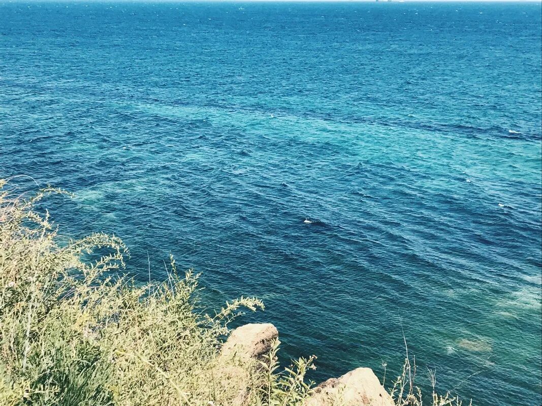 Середина океана. Море простор. Сине серые просторы. Песня синие просторы морей. Пейзаж море.