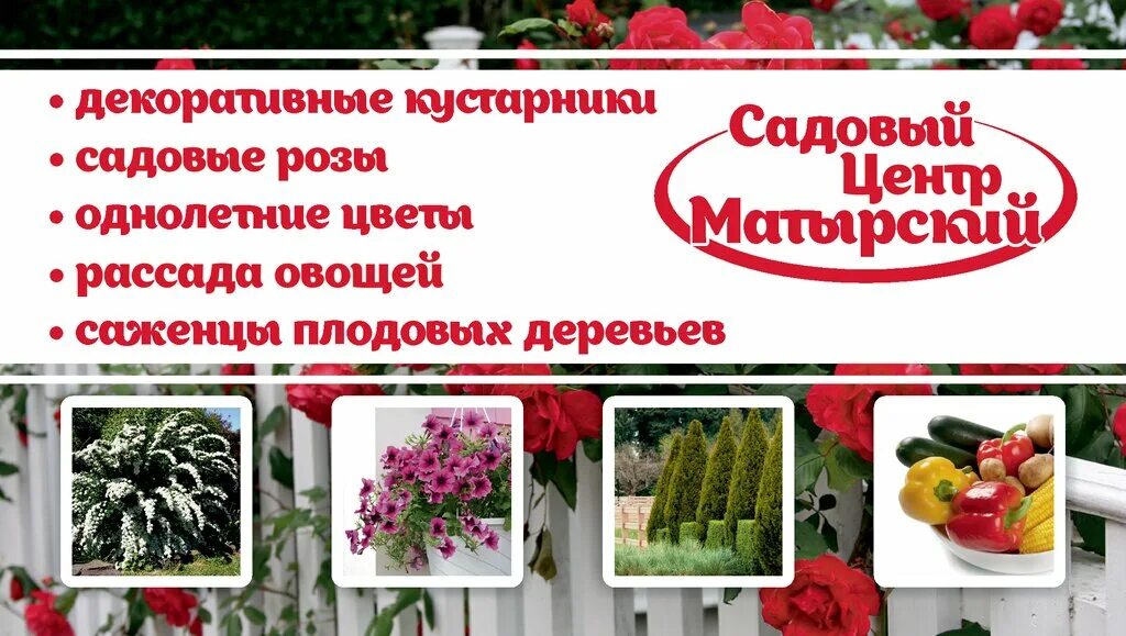 Садовый центр магнитогорск каталог