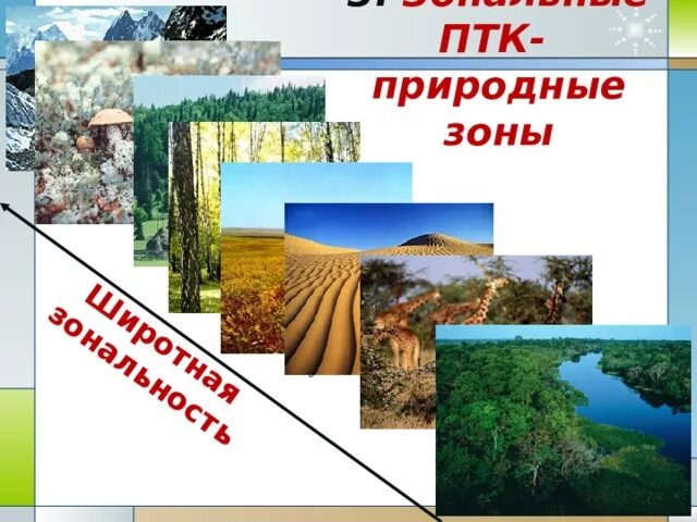 Разнообразие природных комплексов 8 класс презентация. Природный территориальный комплекс. природные птк. природно-территориальные комплексы россии. разнообразие природных комплексов на территории.