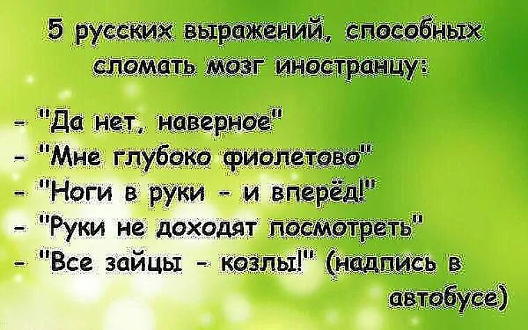 Фразы фенга. Смешные фразы на русском. Русский язык вынос мозга для иностранцев. Смешные русские выражения. Русские выражения для иностранцев.