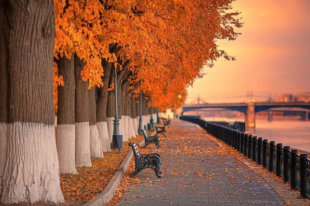 Осенью 2019 года. Тверь осенью. Осень в городе Тверь. Золотая осень Тверь. Набережная с домами осенью.
