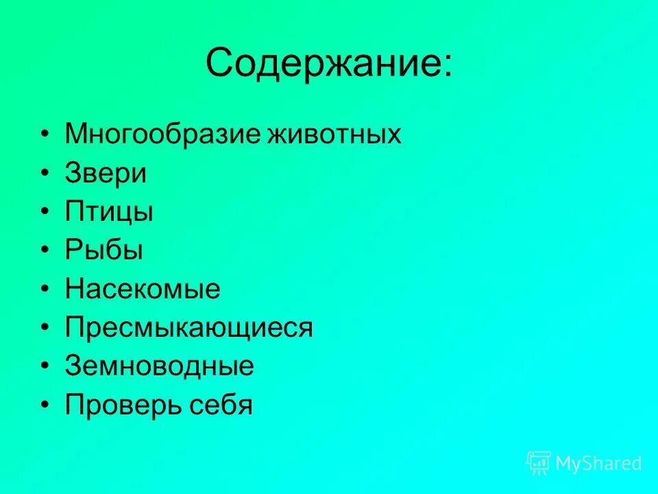 Многообразия содержания. Задачи стандарта. Амплификация психического развития ребенка. Многообразия содержания. Многообразия содержания.
