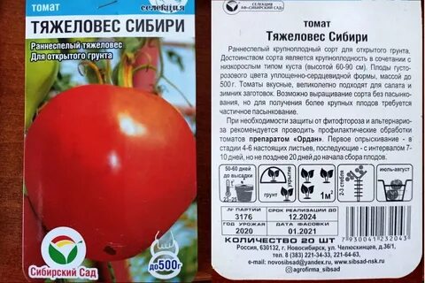 Тяжеловес сибири томат описание отзывы и фото