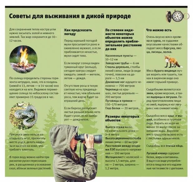 Памятка человеку который заблудился в лесу. Составить памятку если ты заблудился. Правила выживания в тайге. Проект выживание в лесу. Памятка как выжить в тайге.