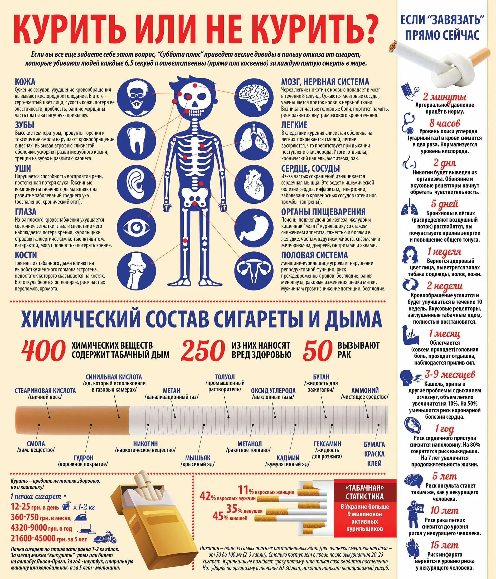 Полезная информация для людей