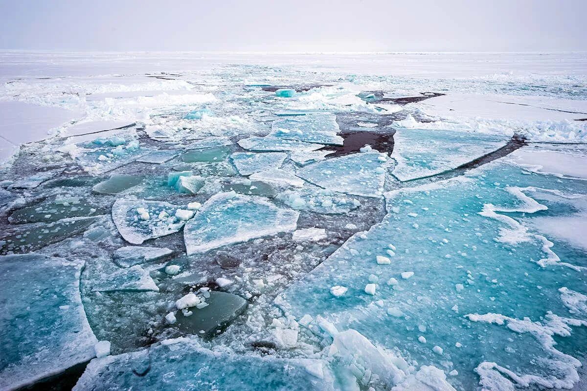 Арктические моря. Северные воды. Арктика города. Небоскреб в Арктике. Back ice