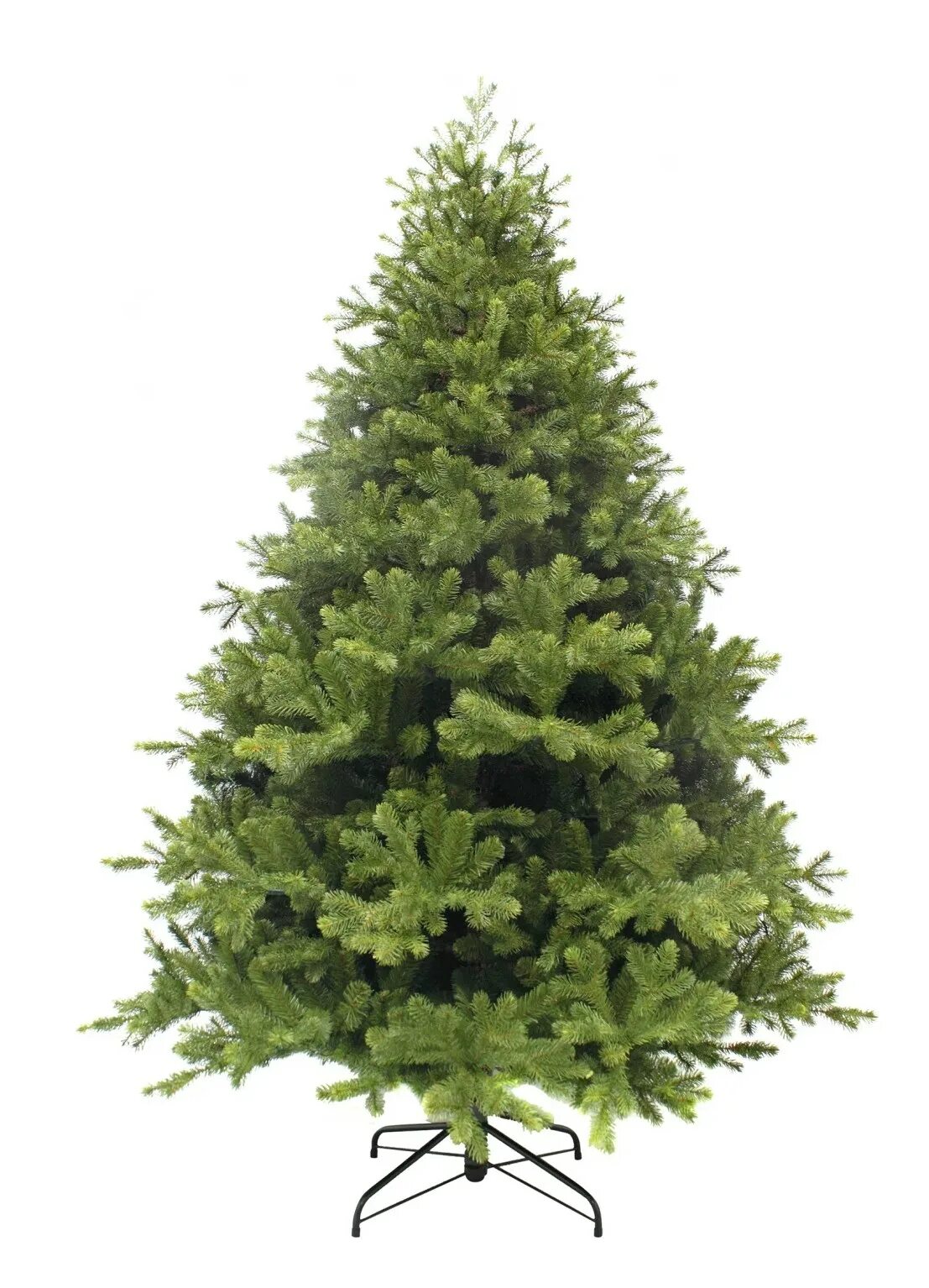 3. Елка триумф. 55. 85. Triumph tree можжевельник.