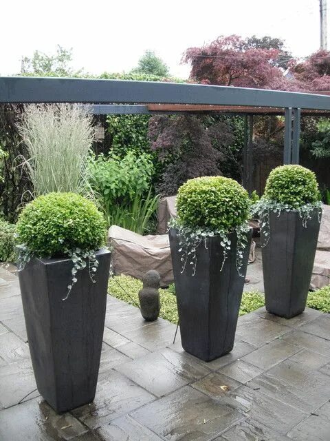 The Small Garden - Design Ideas Roof garden, Roof garden design, Rooftop garden