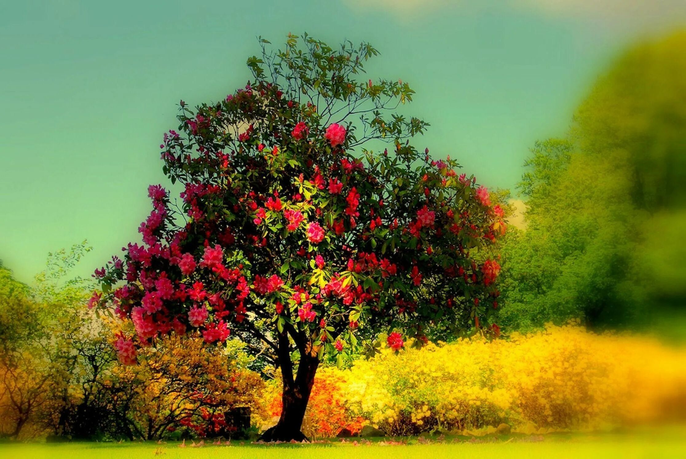 Enough tree
