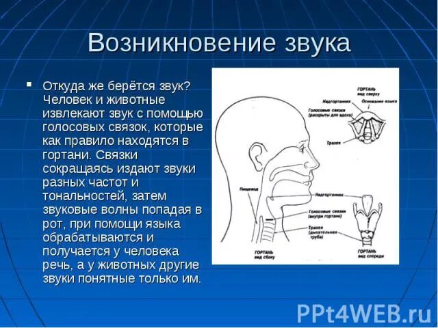 Как формируется звук с. Как создается звук. Как издается звук.