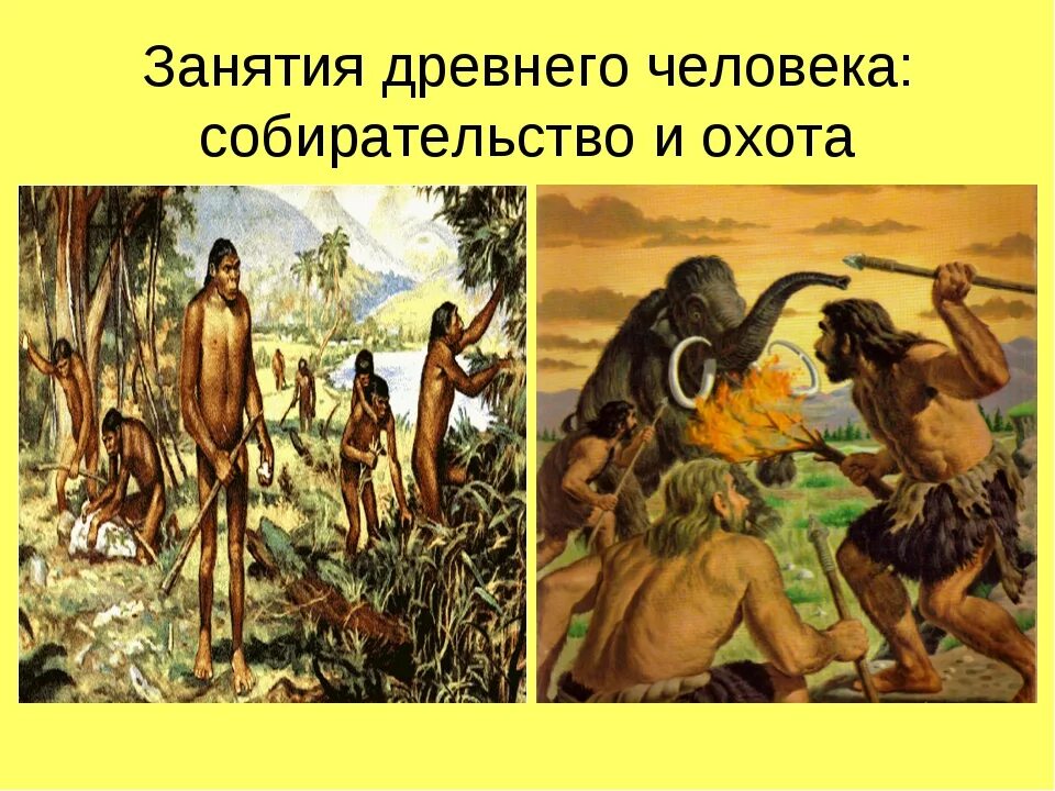 Чем первобытный человек стал заниматься позднее. Собирательство плодов первобытных людей. Занятия древних людей. Занятия первобытных людей. Древние люди занятия.