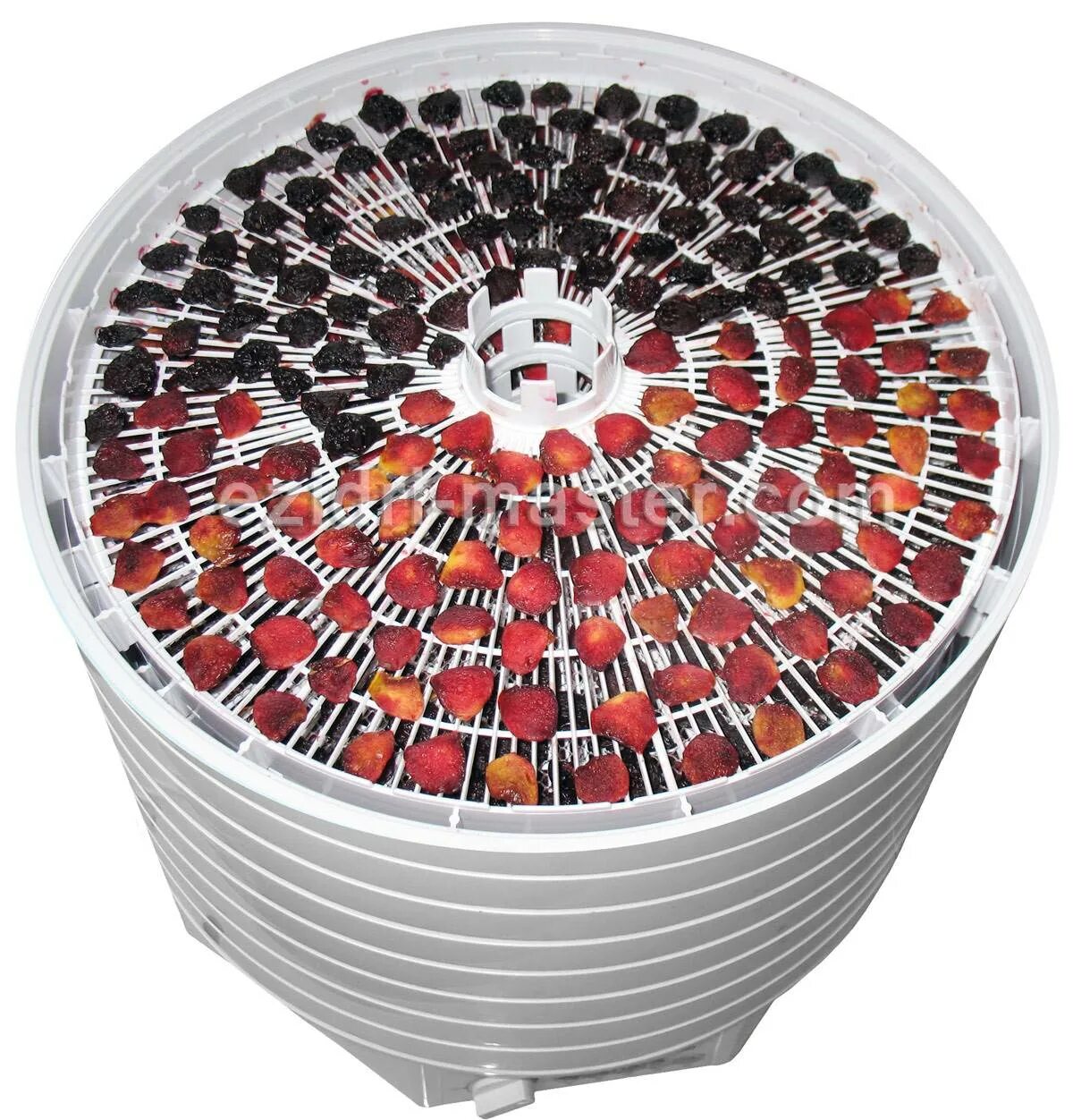 Черешня в сушилке. Сушка черешни. Черешня в сушилке. Вишня в электросушилке. Вишня вяленая.