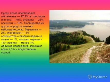 Лес и степь текст