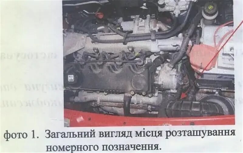 Где находится номер двигателя фиат пунто Ответы : Где находится номер двигателя FIAT 500