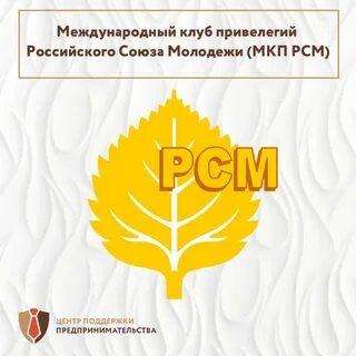 Программы и проекты рсм