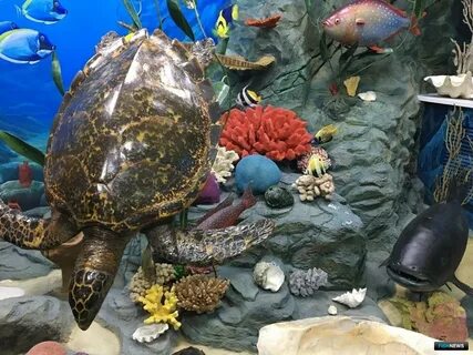 Выставки морская морской морское