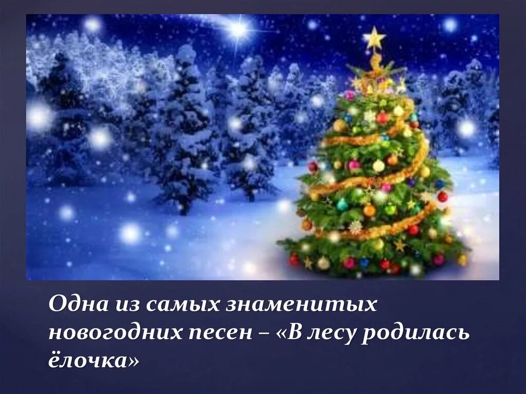 Новогоднюю елочку в лесу родилась елочка. Новогодние песни в лесу родилась елочка. В лесу родилась елочка фото. Новогодняя песня в лесу родилась елочка. Новогодняя песня в лесу родилась.