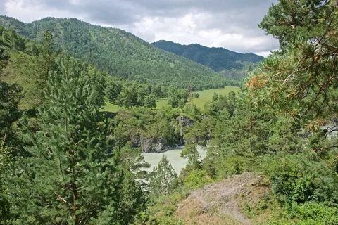 Козьи тропы алтай