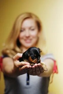 Puppy girl