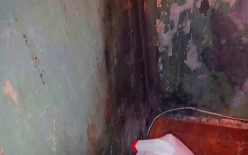 Дефект инженерных сетей. Замачивание стен подвала. дефекты инженерных сетей. биопоражение стен.