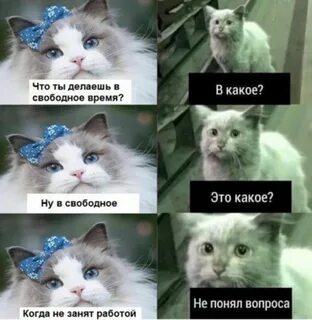 Что вам отправили не понимаю