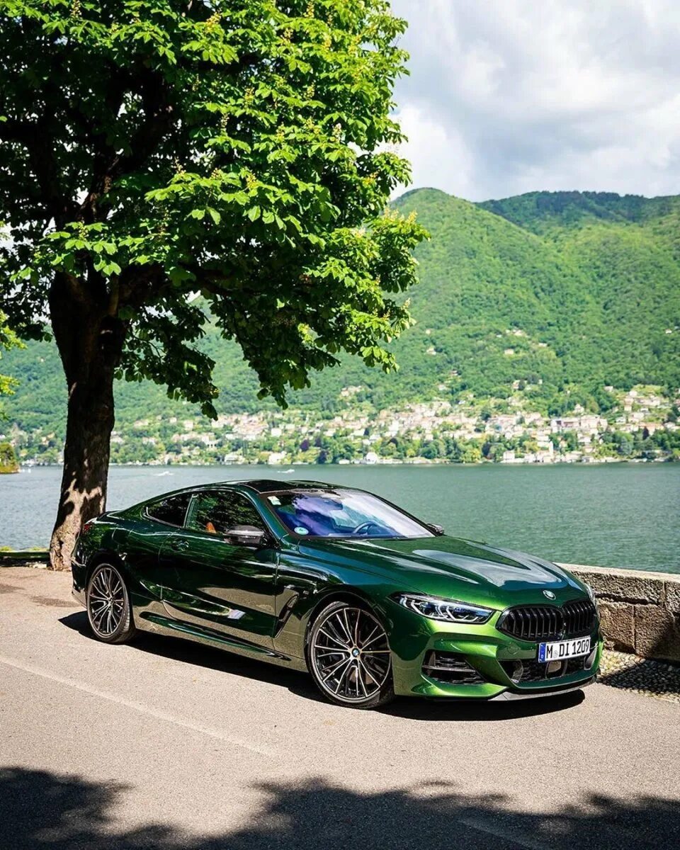 Зеленая м5. Bmw m8 green. бмв м850i. bmw m8 зеленая. bmw m8 850.
