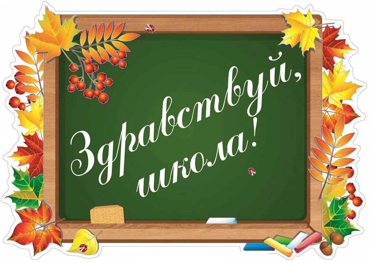 Здравствуй школа надпись на доске. День знаний картинки. Школьная доска с надписью Здравствуй школа. С днем знаний надпись. Картинка надпись школа