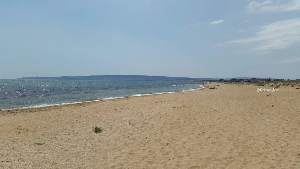 Золотой пляж Береговое. С.Береговое Феодосия Валетта. Феодосия Береговое лес. Погода в Береговом Феодосия.