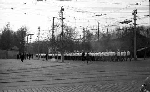 Ноябрь 1960