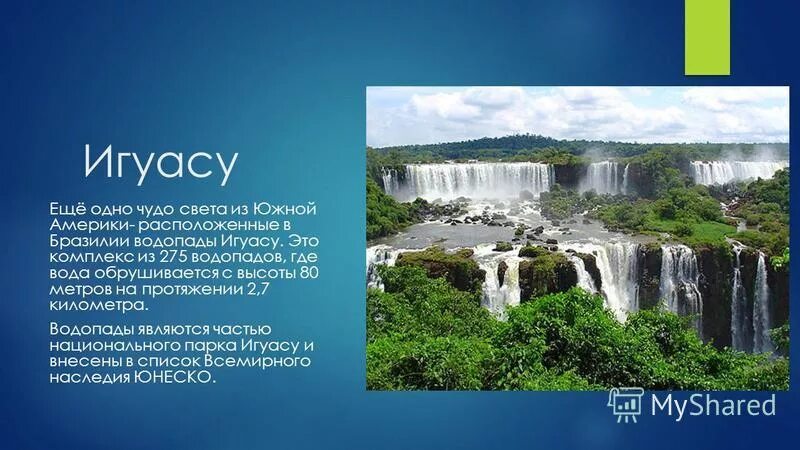 национальный парк жау в бразилии. статуя христа в бразилии. бразилия штат амапа природа. парк игуасу аргентина растения. памятники природы бразилии 7 класс.