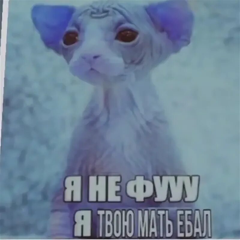 Фу не очень это вообще как
