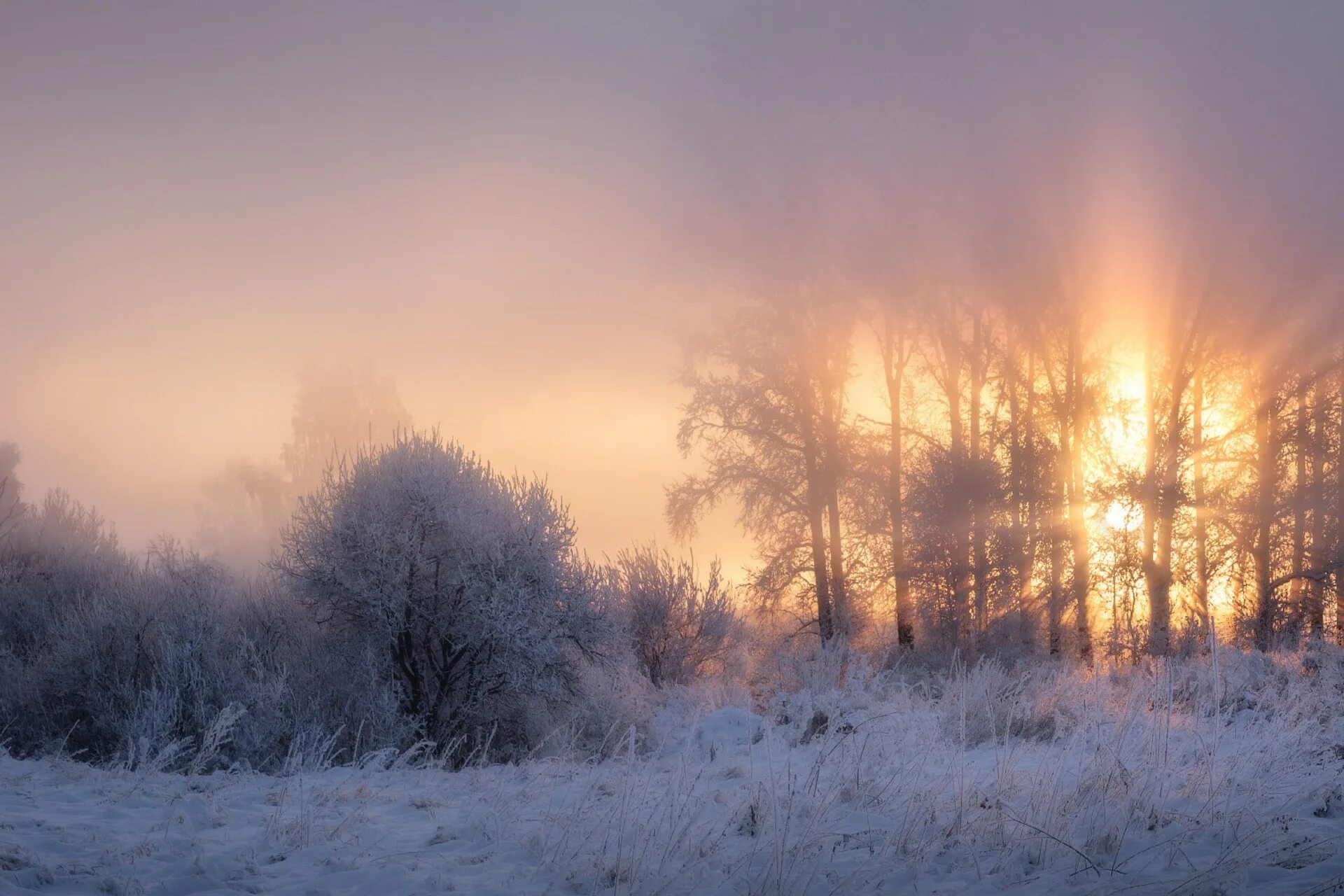 Декабрьское утро. Морозное солнечное утро. Декабрьское утро Тютчев. Морозное утро в деревне.