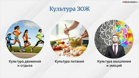 Культура здорового образа жизни обж 11 класс. Культура здорового образа жизни. Культура питания ОБЖ 11 класс. Журнал культура здоровой жизни.