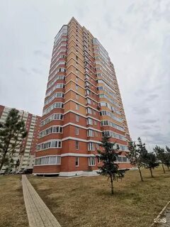 Фруктовая д 6