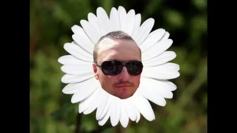 Flowers meme