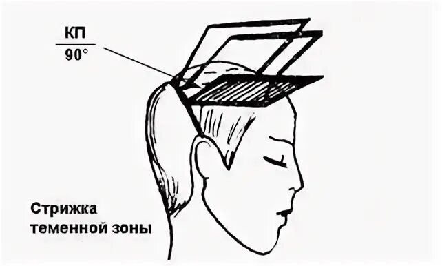 Мужская стрижка теменной зоны