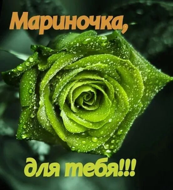 Мариночка привет. Мариночка. Мариночка я тебя люблю картинки. Спасибо мариночка открытка. Лучшая мариночка тг.