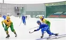Хоккей с мячом 2024 2025