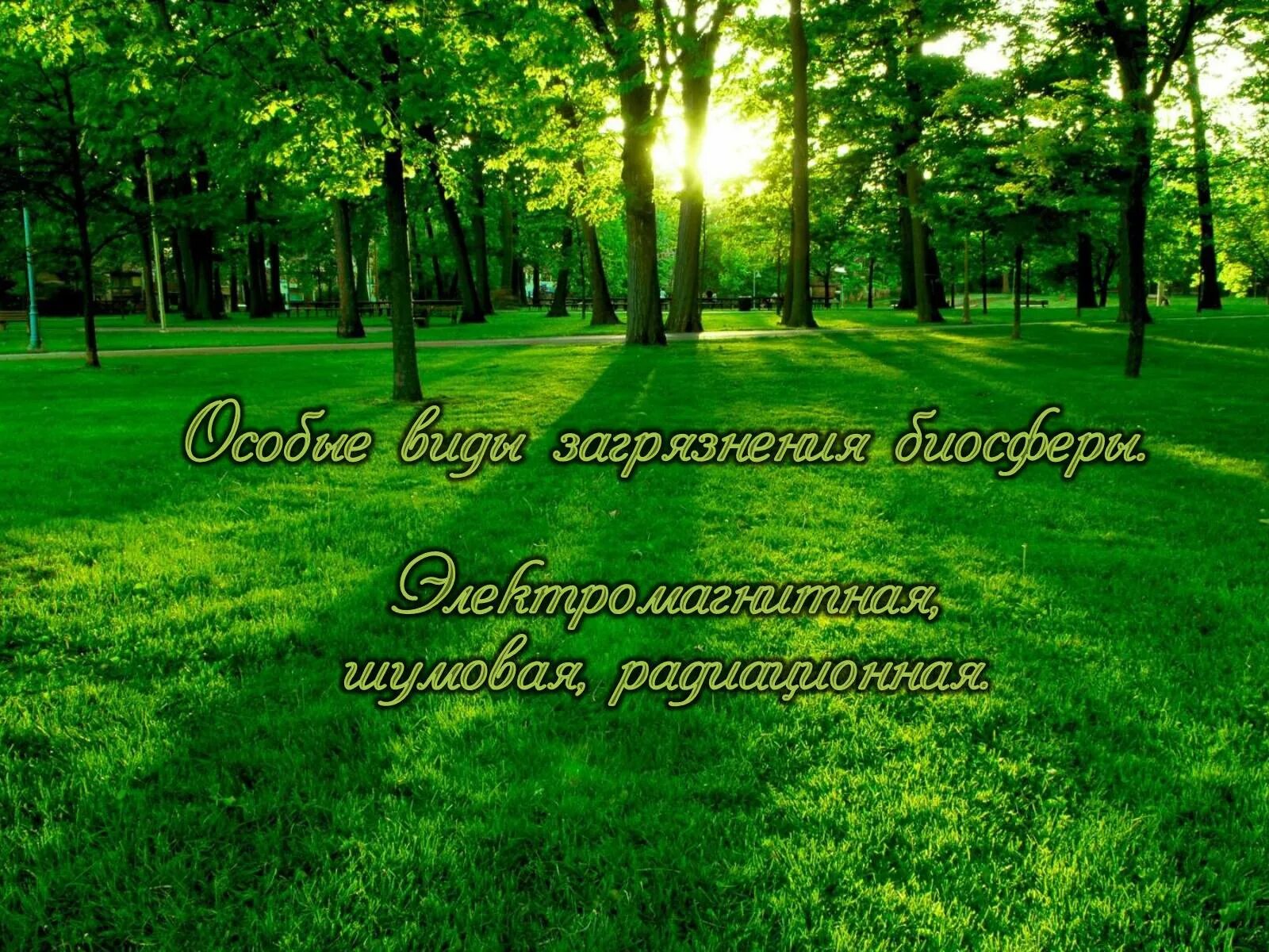 Люди, которые обижают. Мальчик с лисой протягивает руку. Подумайте сами друзья. Умные мысли. Заглянуть внутрь себя.