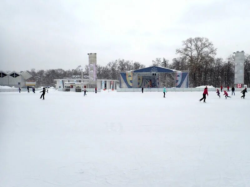 Лед сокольники купить билет. Каток лед в Сокольниках. Каток гигант в Сокольниках. Хоккейный каток в Сокольниках. Сокольники зимой.