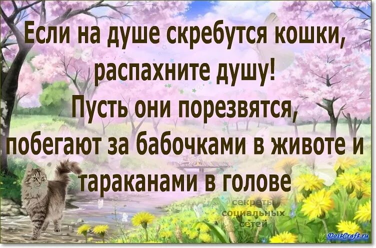 На душе скребутся кошки фразеологизм. Кошки скребут на душе. Кошки скребут на душе картинки. Кошка в душе. Когда на душе кошки скребут.