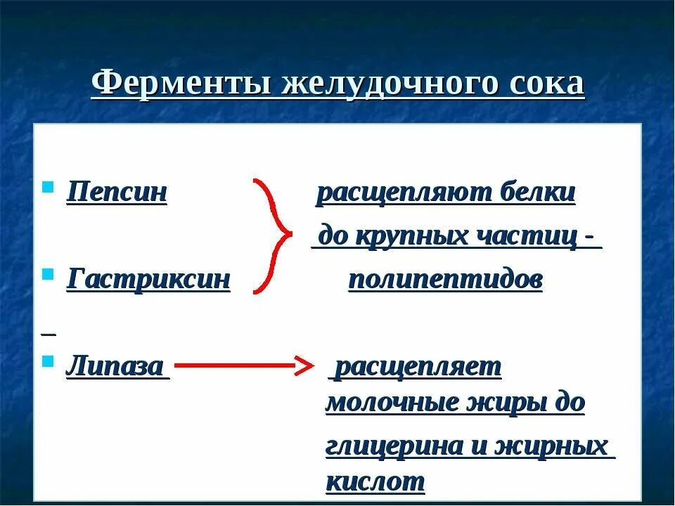 Расщепление белков до полипептидов. Пепсин расщепляет. Ферменты пепсин и гастриксин расщепляют белки пищи до. Ферменты желужочногтсока. Фермент пепсин расщепляет.