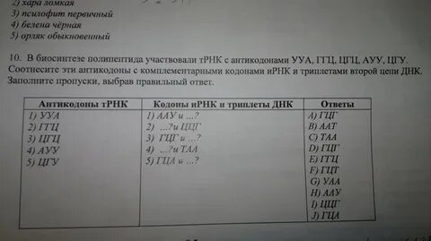 В биосинтезе полипептида участвуют