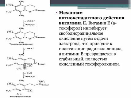 Радикалы липидов
