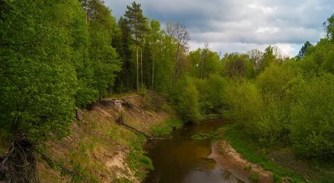 Река смородина